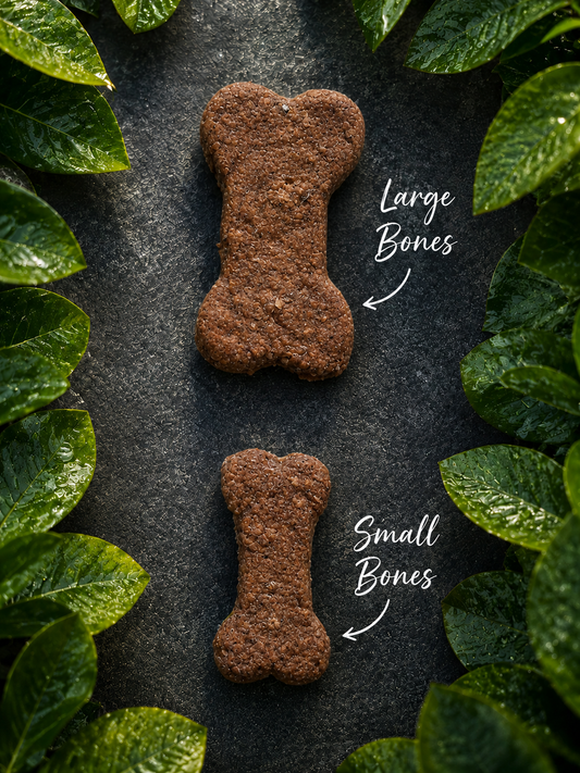 Chocolate(Carob Powder) Bone Shaped Biscuits