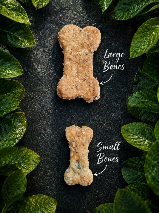 Chicken & Oats Bone Shaped Biscuits