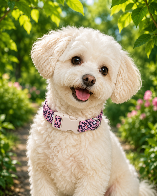 Blush Leopard Luxe Collar