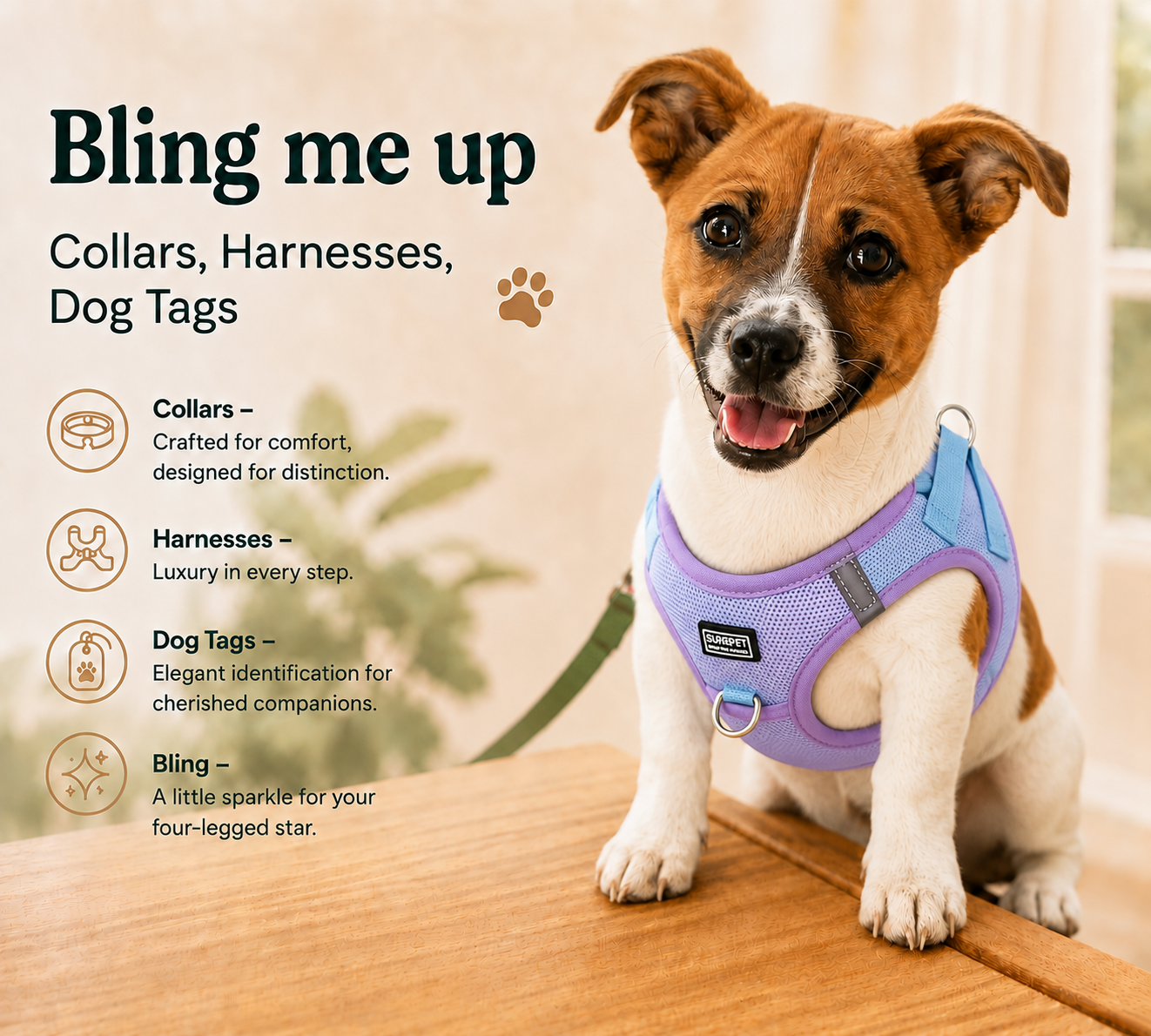 Collars, Harnesses & Dog Tags