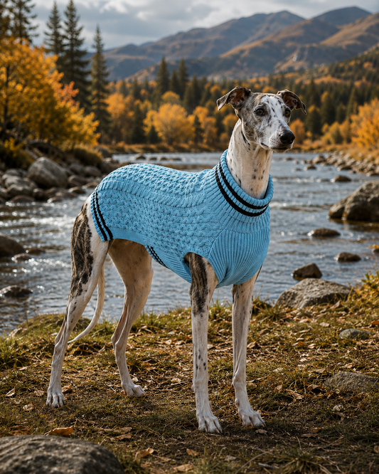 The Windsor Preppy Knit