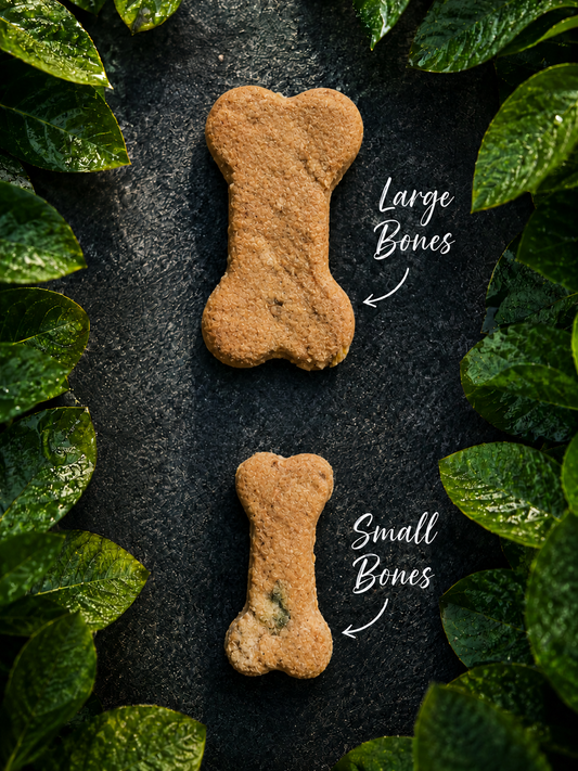 Beef & Oats Bone Shaped Biscuits