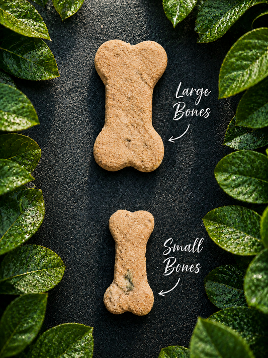 Chicken Bone Shaped Biscuits