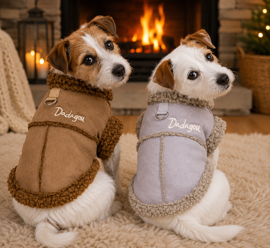 The TeddyGlow Comfort Jacket