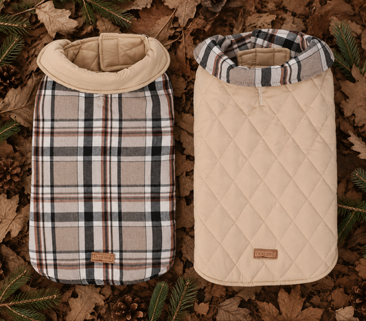 AdventureFlex Reversible Jacket