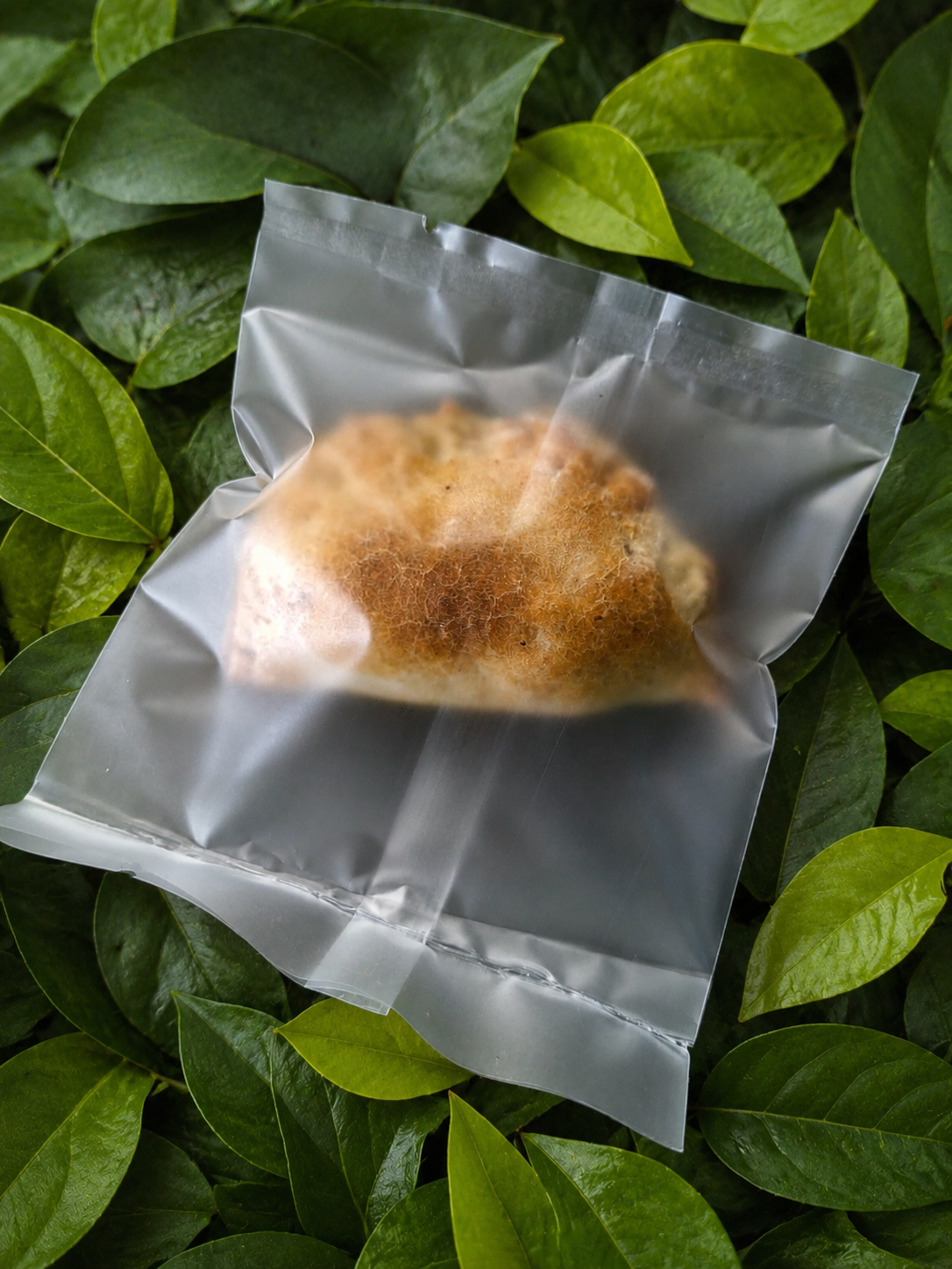 Gourmet Mini Beef or Chicken & Veg Pies