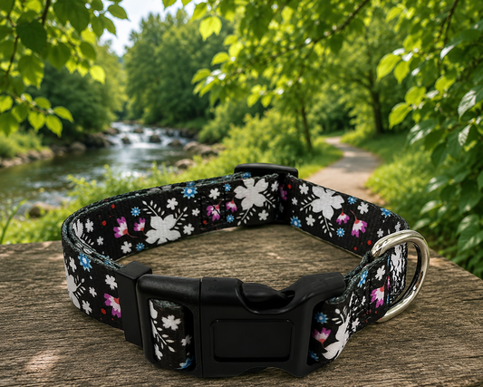Midnight Bloom Dog Collar