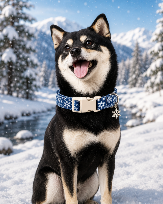 Winter Wonderland Dog Collar