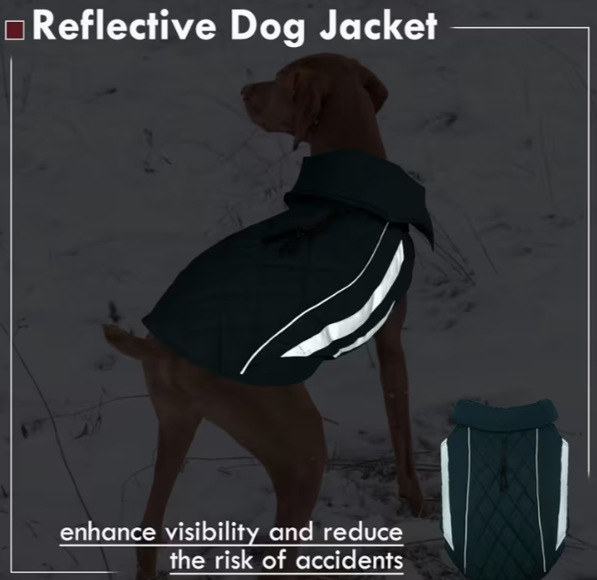 The Aspen Luxe Waterproof Dog Jacket