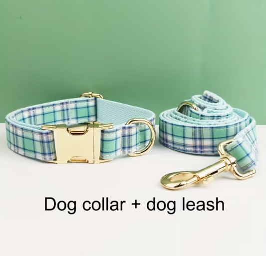 Example personalized collar